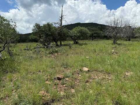 111 Tejano Canyon, Fort Davis, TX 79734