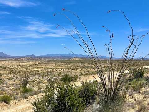 TR 2423 Herman's Peak Rd, Terlingua, TX 79852