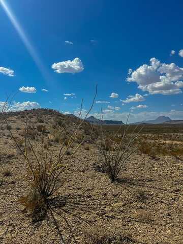 140 Claret Cup, Terlingua, TX 79852