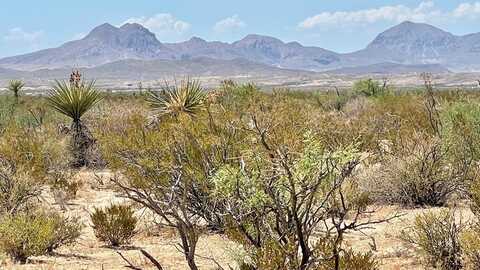 G553 Dean St, Terlingua, TX 79852