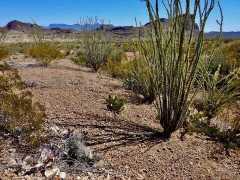 259C Gate 1 1/2 Road, Terlingua, TX 79852