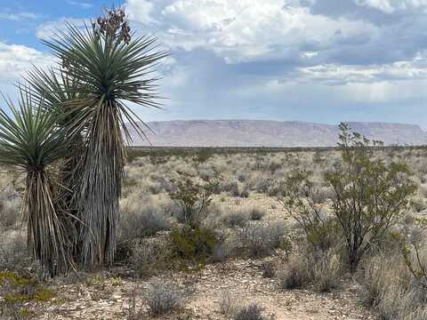 00 Alpha, Terlingua, TX 79852