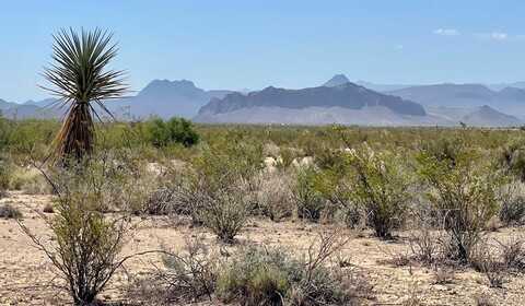 TR 4411 Roja Lane, Terlingua, TX 79852