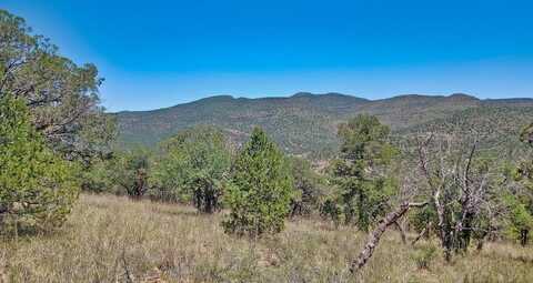 102 Apache Mountain Trail, Fort Davis, TX 79734