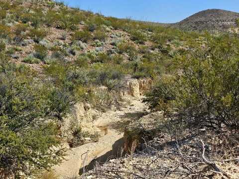 201 Poochie Rd, Terlingua, TX 79852