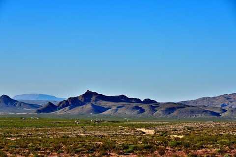 8656 Dagger Blvd, Terlingua, TX 79852