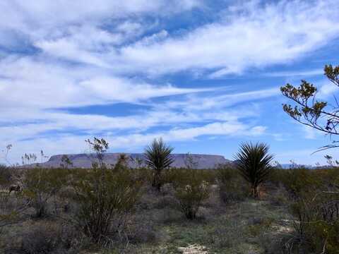 493 Red Dawg Road, Terlingua, TX 79852