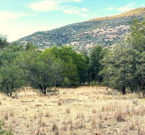 100 Tejano Canyon, Fort Davis, TX 79734