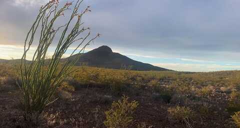 66 Cats Eye Rd, Terlingua, TX 79852