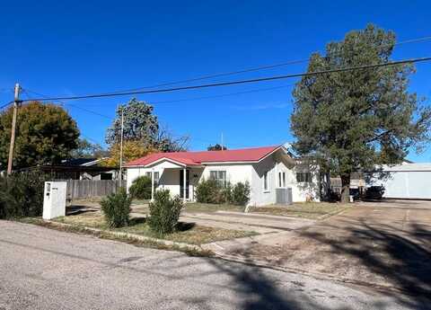 505 E Ave B, Alpine, TX 79830