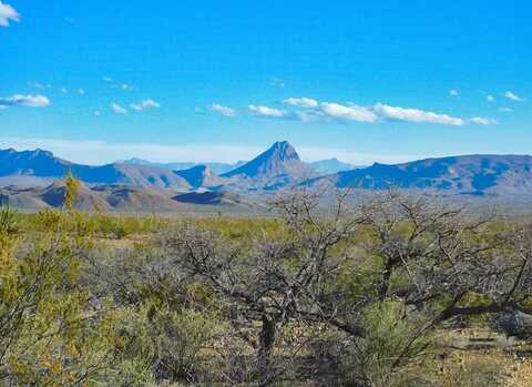 15429 Virgil Clark Rd, Terlingua, TX 79852