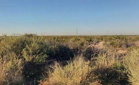 10 Acres County Rd 2545, Coyanosa, TX 79730