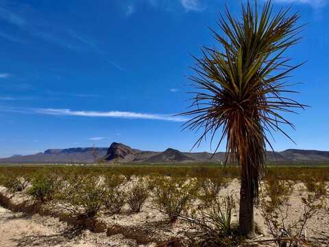 8878 N Desert Willow Springs Lane, Terlingua, TX 79852