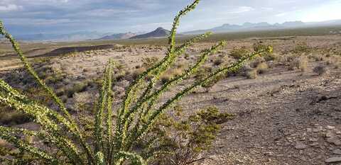 4809 Pegasus Rd., Terlingua, TX 79852