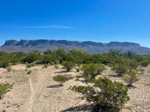 TR 4464 Private Rd, Terlingua, TX 79852