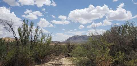 F822 Tony Hess Rd., Terlingua, TX 79852