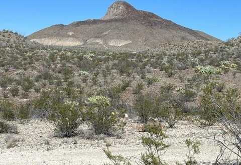 21553 Black Peak, Terlingua, TX 79852