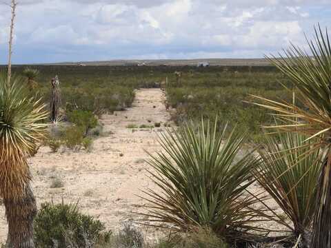 51345 State Hwy 118 S, Terlingua, TX 79852