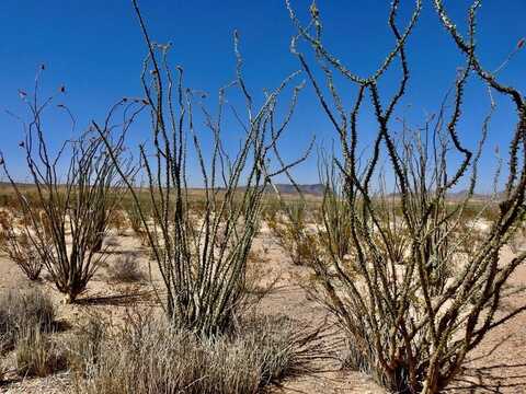 2637 Martin Cutacross Rd., Terlingua, TX 79852