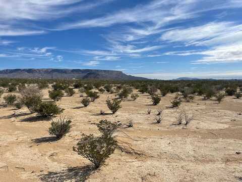 TR G194 Flat Tire Rd, Terlingua, TX 79852