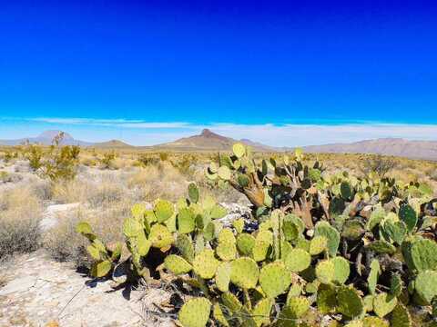 6695 Feldspar St., Terlingua, TX 79852