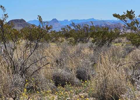 4868 A Warnock Rd, Terlingua, TX 79852