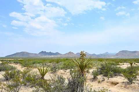 301 Corzo Ave, Terlingua, TX 79852