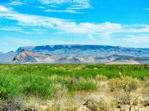 17070 Ruby Dr, Terlingua, TX 79852