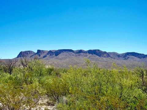 4803 Rattlesnake Rd, Terlingua, TX 79852