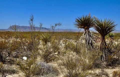 4160 Cheosa Trail, Terlingua, TX 79852