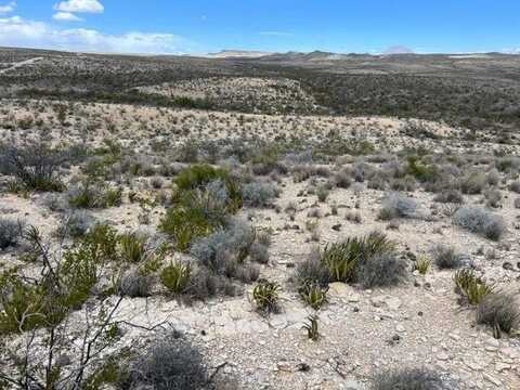 21231 Slate Springs, Terlingua, TX 79852