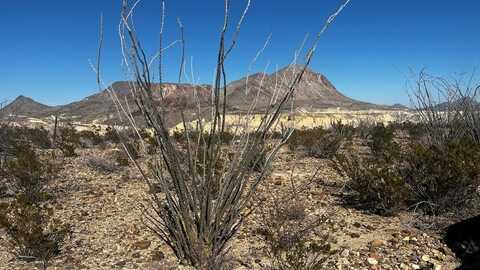 26946 Creekview, Terlingua, TX 79852