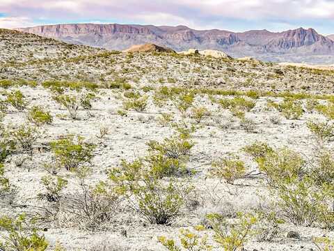 19795 Reimers Road, Terlingua, TX 79852