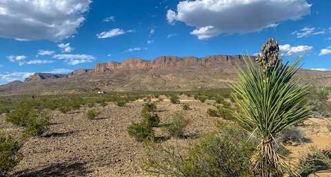 500 Virgil Clark Rd, Terlingua, TX 79852