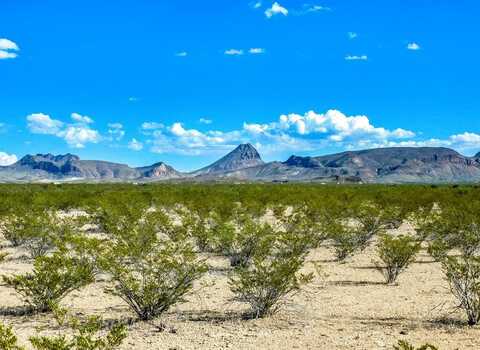 19898 Este Rd, Terlingua, TX 79852