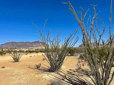 BLK G12 Ringo Loop, Terlingua, TX 79852