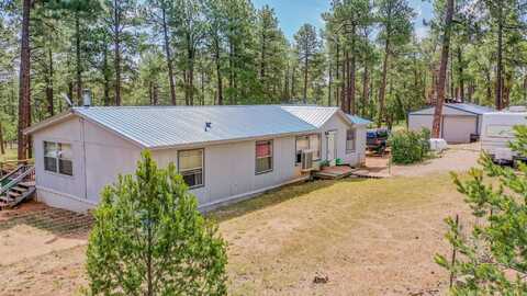 485 Dixwood DR, Timberon, NM 88350