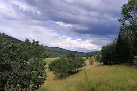 49 Elk Springs, Cloudcroft, NM 88317