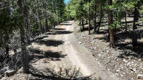 Raspberry Hill Rd, Cloudcroft, NM 88317