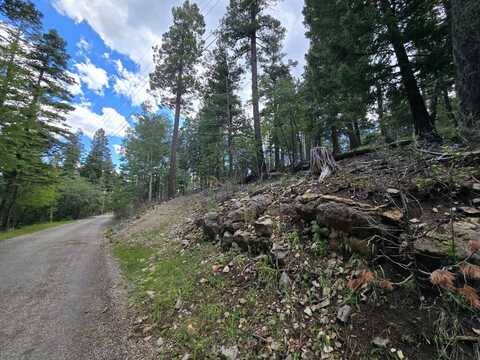 1106 Blanca Vista, Cloudcroft, NM 88317