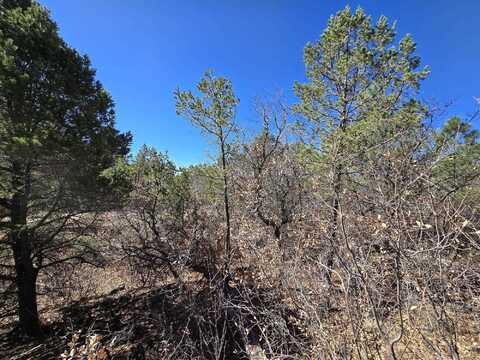 00 Miles Loop, Timberon, NM 88350