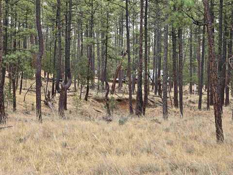 Lot4 Bahamas DR, Timberon, NM 88350