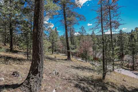 46 Honey Bear, Mayhill, NM 88339