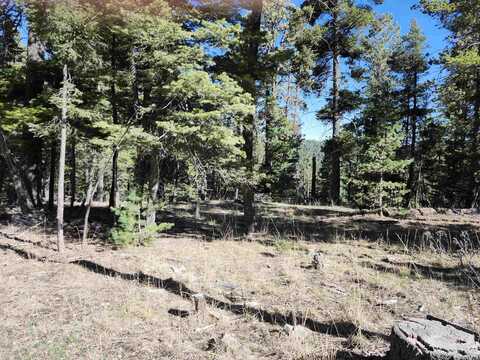 180 Big Dipper RD, Cloudcroft, NM 88317