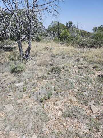 Sacramento Dr, Timberon, NM 88350