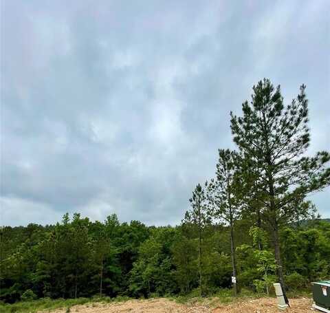 673 Timber Creek Trails South Xl, Broken Bow, OK 74728