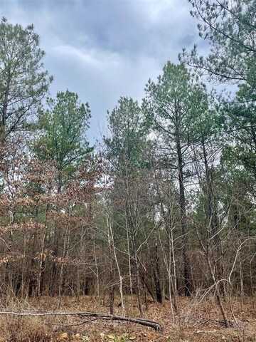 755 Timber Creek Trails South Xl, Broken Bow, OK 74728