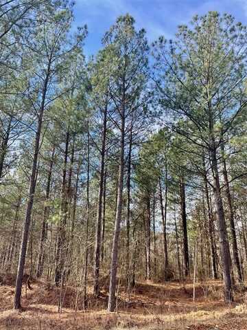 742 Timber Creek Trails South Xl, Broken Bow, OK 74728