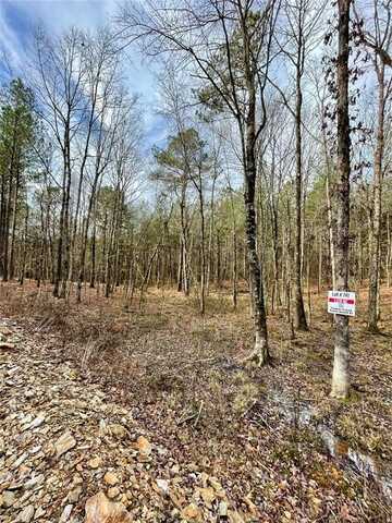 741 Timber Creek Trails South Xl, Broken Bow, OK 74728