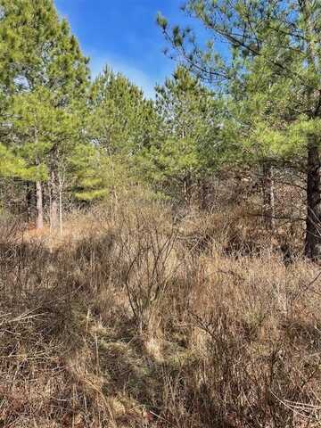 680 Timber Creek Trails South Xl, Broken Bow, OK 74728